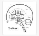 Art Print | Letterpress | 8" x 8" | Brain