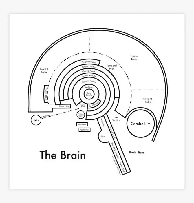 Art Print | Letterpress | 8" x 8" | Brain
