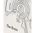 Art Print | Letterpress | 8" x 8" | Brain