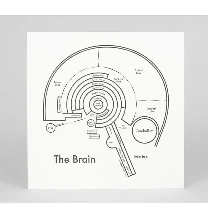 Art Print | Letterpress | 8" x 8" | Brain