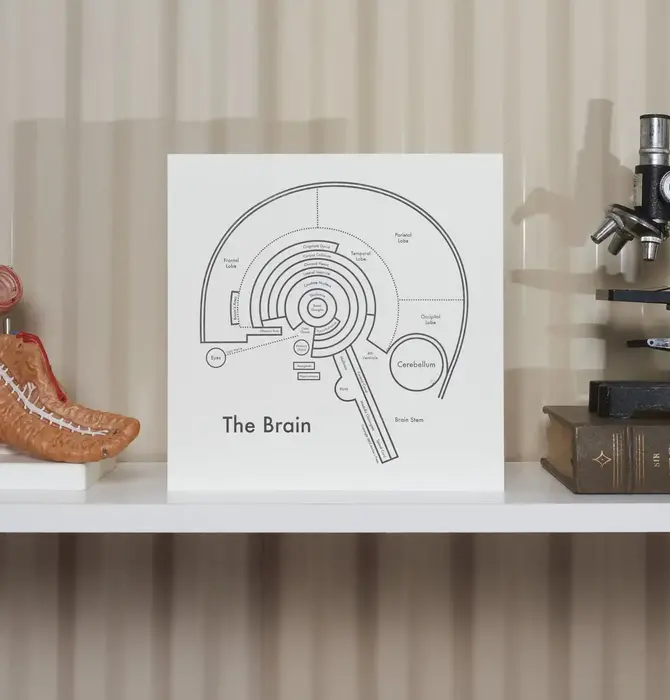 Art Print | Letterpress | 8" x 8" | Brain