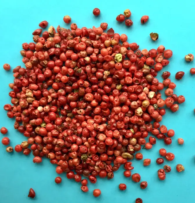 Spices | Pink Peppercorn