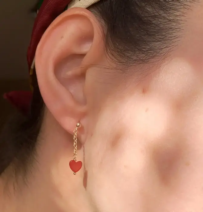 Earrings | Carnelian Heart | Chain Stud