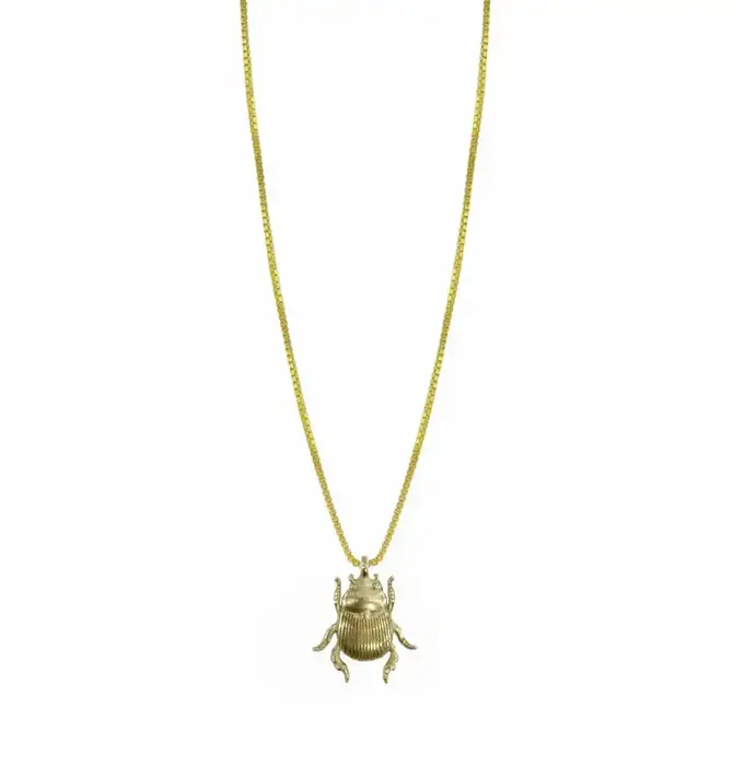 Necklace | Pet Beetle Pendant