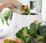 Kitchen Composter | Lomi Smart Waste™