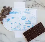 Candy | Chocolate Bar Mini