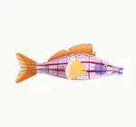 3D Sea Creature Puzzle | Large