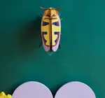 3D Insect Puzzle | Small Beetle