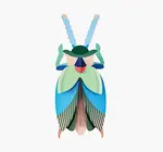 3D Insect Puzzle | Large Beetle