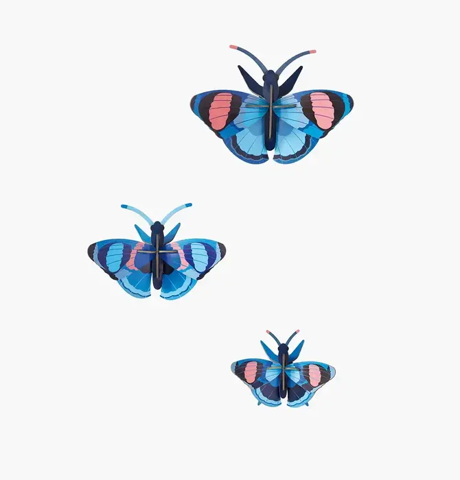 3D Butterfly Puzzle | Set of 3