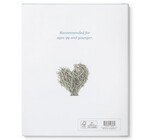 Book | Chasing Dreams (Raccoon Plush Companion)