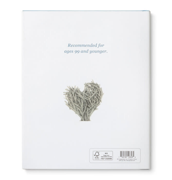 Book | Chasing Dreams (Raccoon Plush Companion)