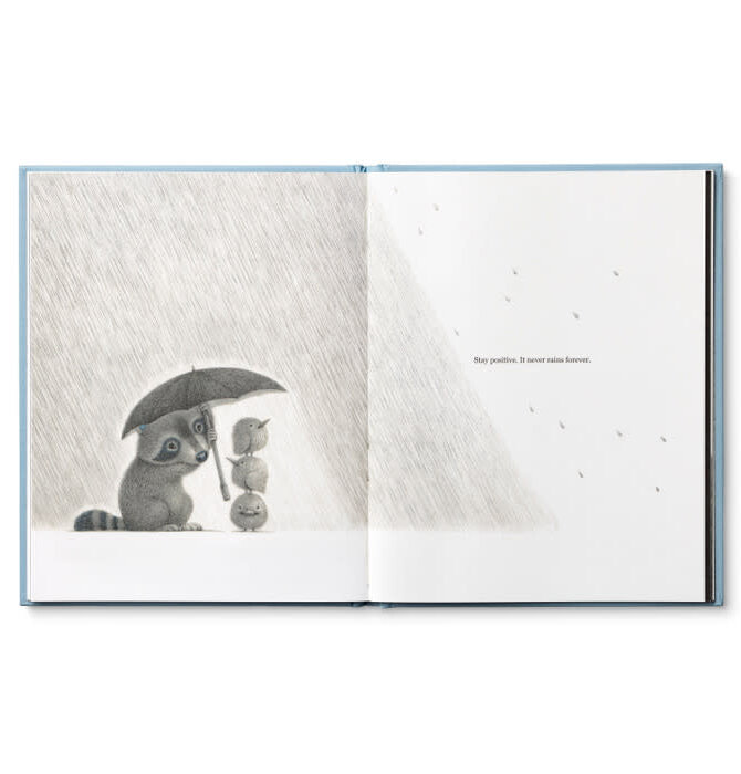 Book | Chasing Dreams (Raccoon Plush Companion)