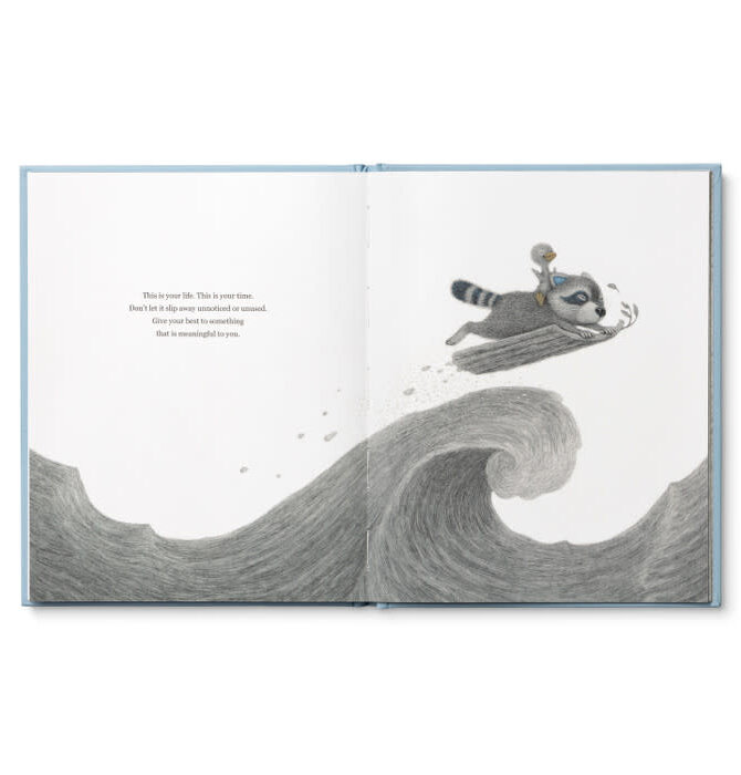 Book | Chasing Dreams (Raccoon Plush Companion)