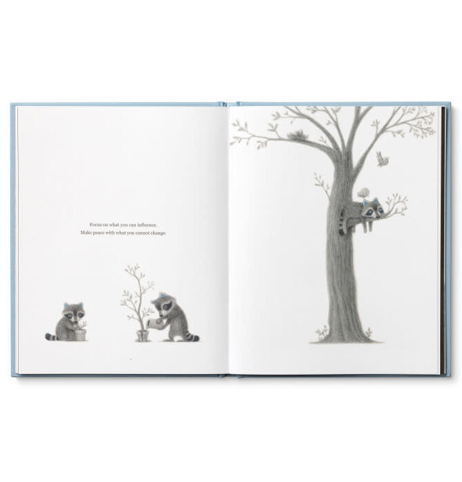Book | Chasing Dreams (Raccoon Plush Companion)