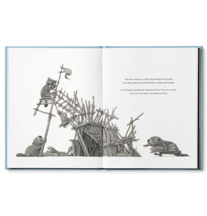 Book | Chasing Dreams (Raccoon Plush Companion)