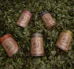 Drink | Yaupon Holly Tea