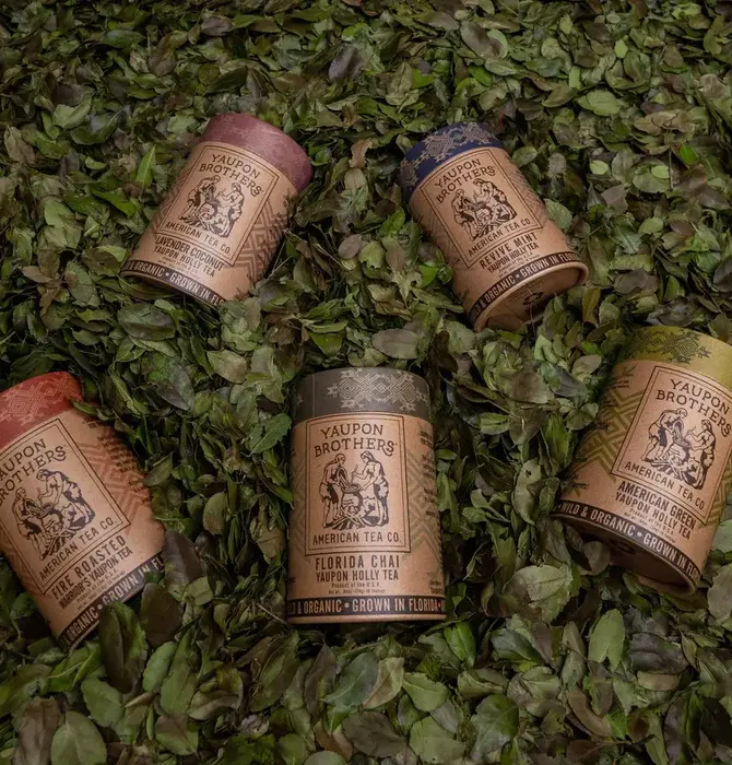 Drink | Yaupon Holly Tea
