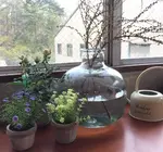 Vase | Recycled Glass | Classical G