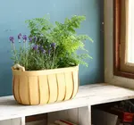 Basket | "Poire" Cedar | Oval