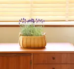 Basket | "Poire" Cedar | Oval