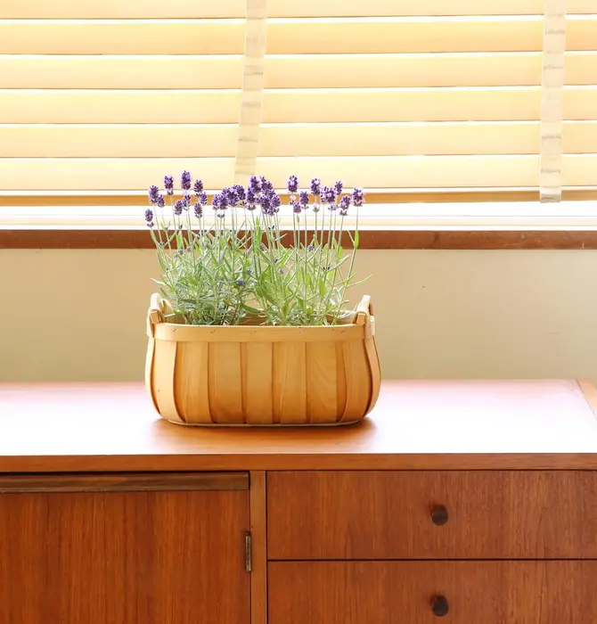 Basket | "Poire" Cedar | Oval