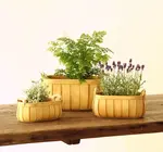 Basket | "Poire" Cedar | Oval