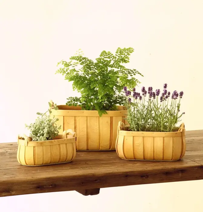 Basket | "Poire" Cedar | Oval