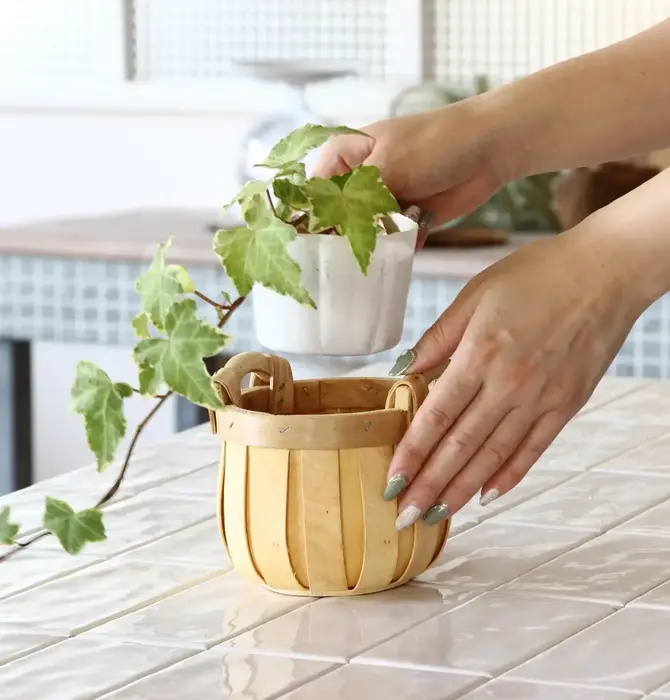 Basket | "Poire" Cedar | Round