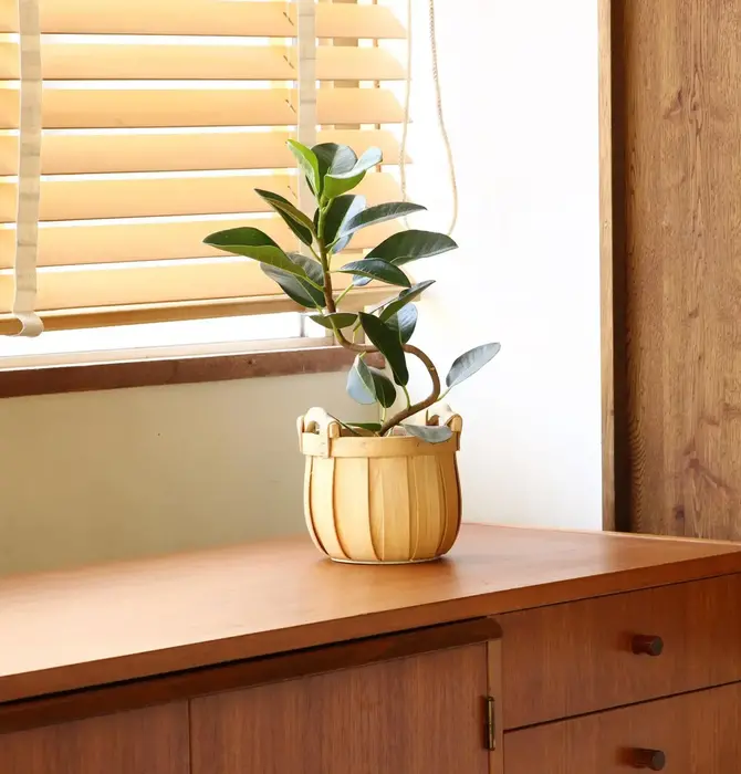 Basket | "Poire" Cedar | Round