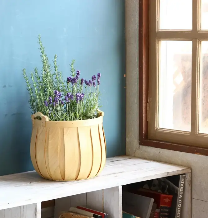 Basket | "Poire" Cedar | Round