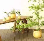Basket | "Poire" Cedar | Round