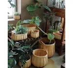 Basket | "Poire" Cedar | Round