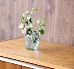 Vase | Valencia Recycled Glass | Origami