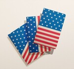 Notebook | American Flag