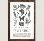 Art Print | Oklahoma Field Guide | Flora & Fauna