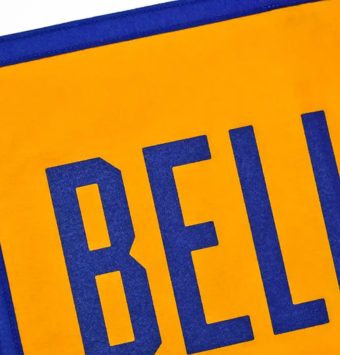 Banner | Camp Flag | Believe