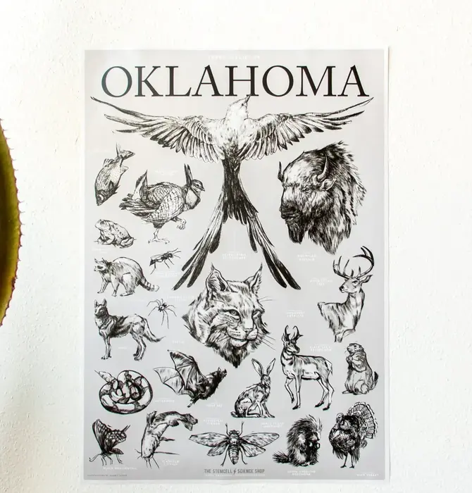 Art Print | Oklahoma Wildlife Chart