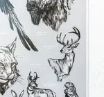 Art Print | Oklahoma Wildlife Chart