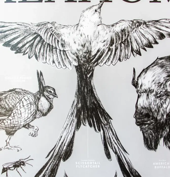 Art Print | Oklahoma Wildlife Chart