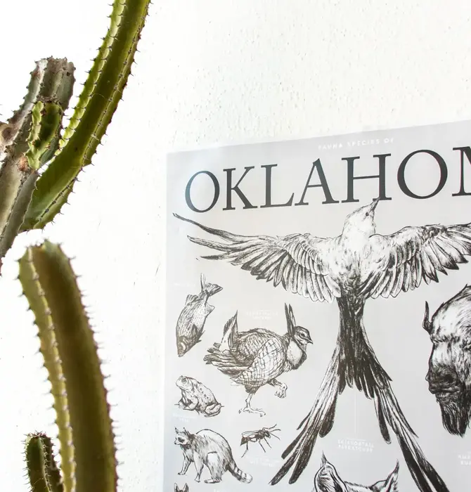 Art Print | Oklahoma Wildlife Chart