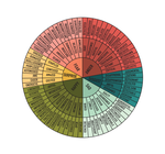 Art Print | PLENTY Feelings Wheel | Matte Colors