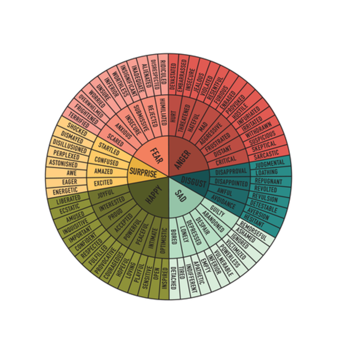 Art Print | PLENTY Feelings Wheel | Matte Colors