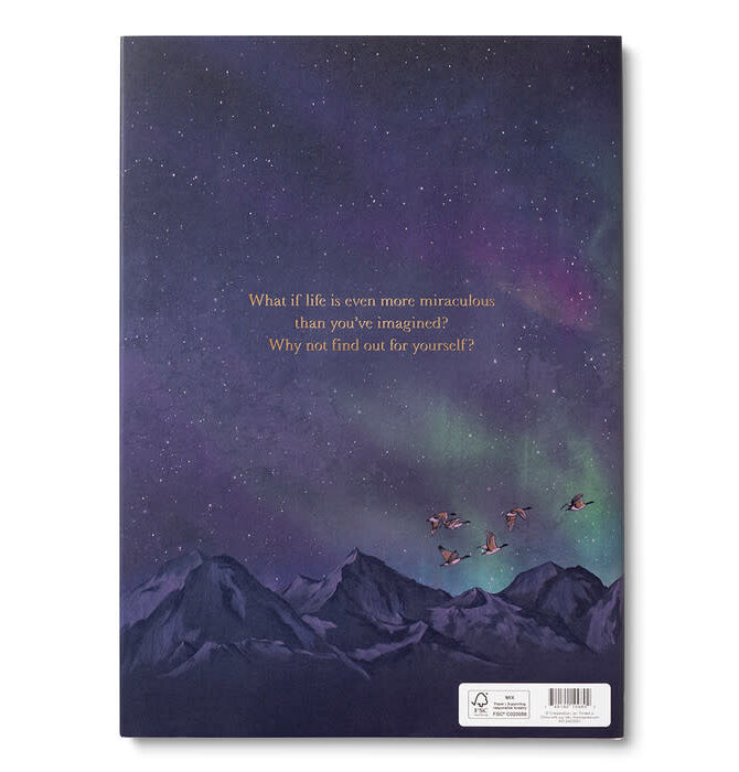 Book | Why Not?