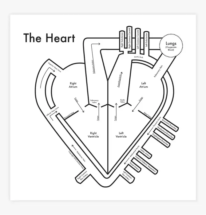 Art Print | Letterpress | Heart