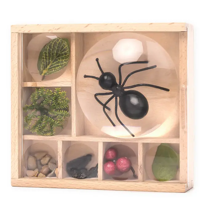 Toy | Magnifying Box | My Little Museum