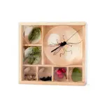 Toy | Magnifying Box | My Little Museum