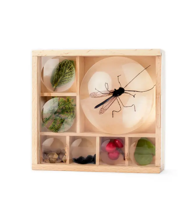 Toy | Magnifying Box | My Little Museum