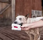 Dog Plush Toy | Halloween