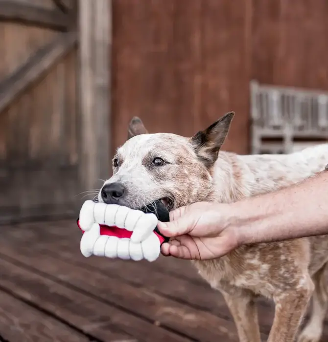 Dog Plush Toy | Halloween